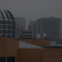 2023-11-9 | 雨