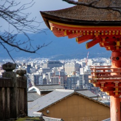 2025-1 | 日本行